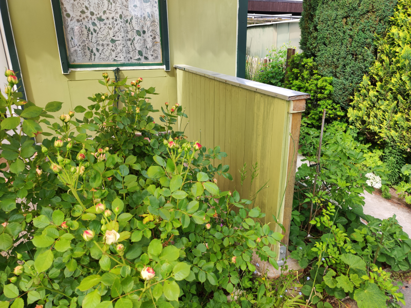 Terrassenwände-04