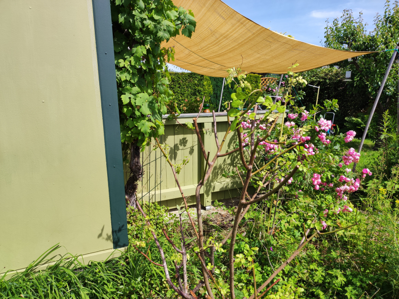 Terrassenwände-11
