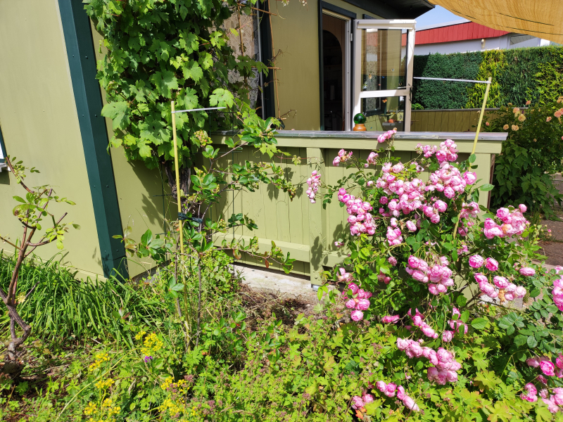 Terrassenwände-12