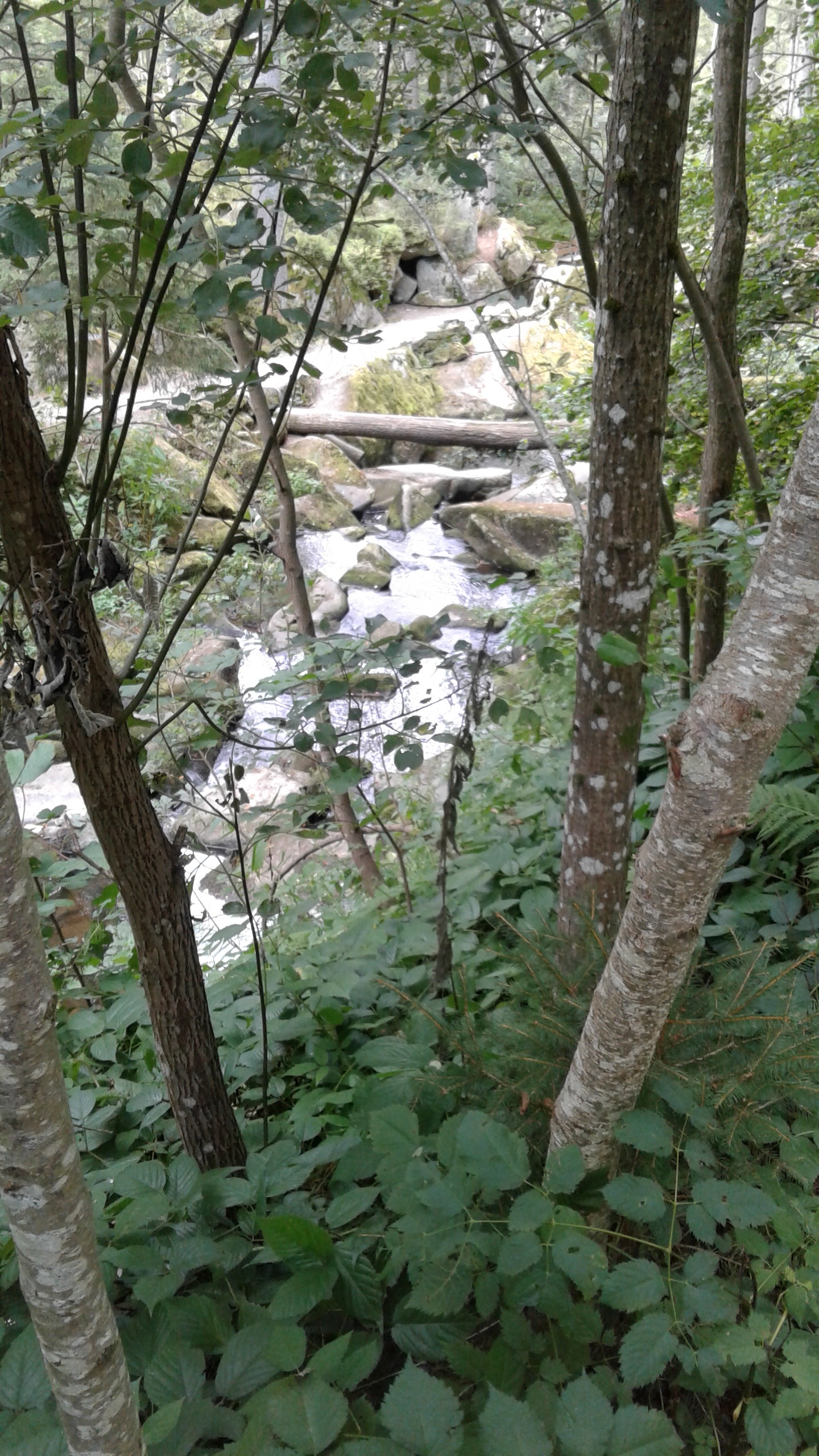 20200828_101743