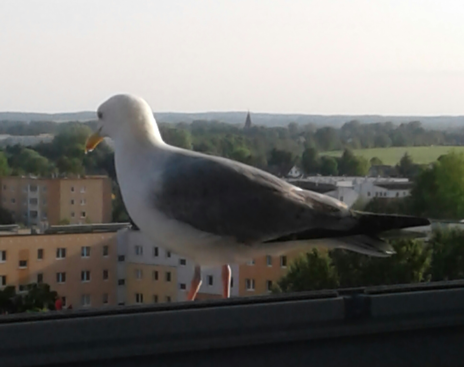 20180519_185738-1