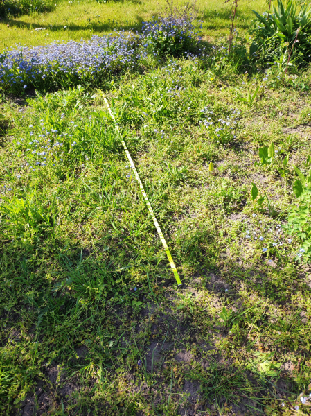 IMG_20250501_102820