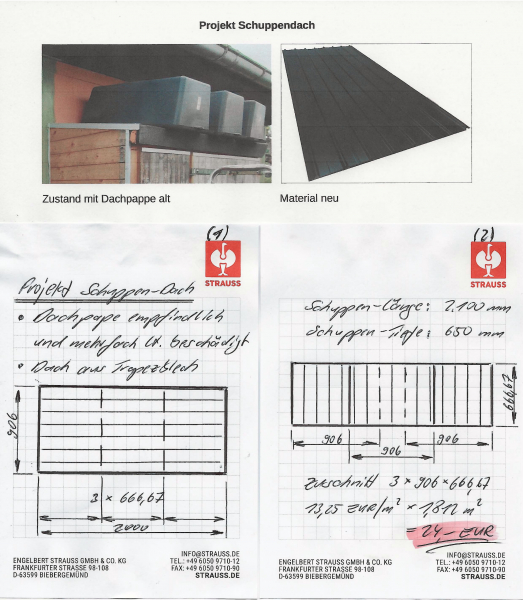 Schuppendach-Projekt-1