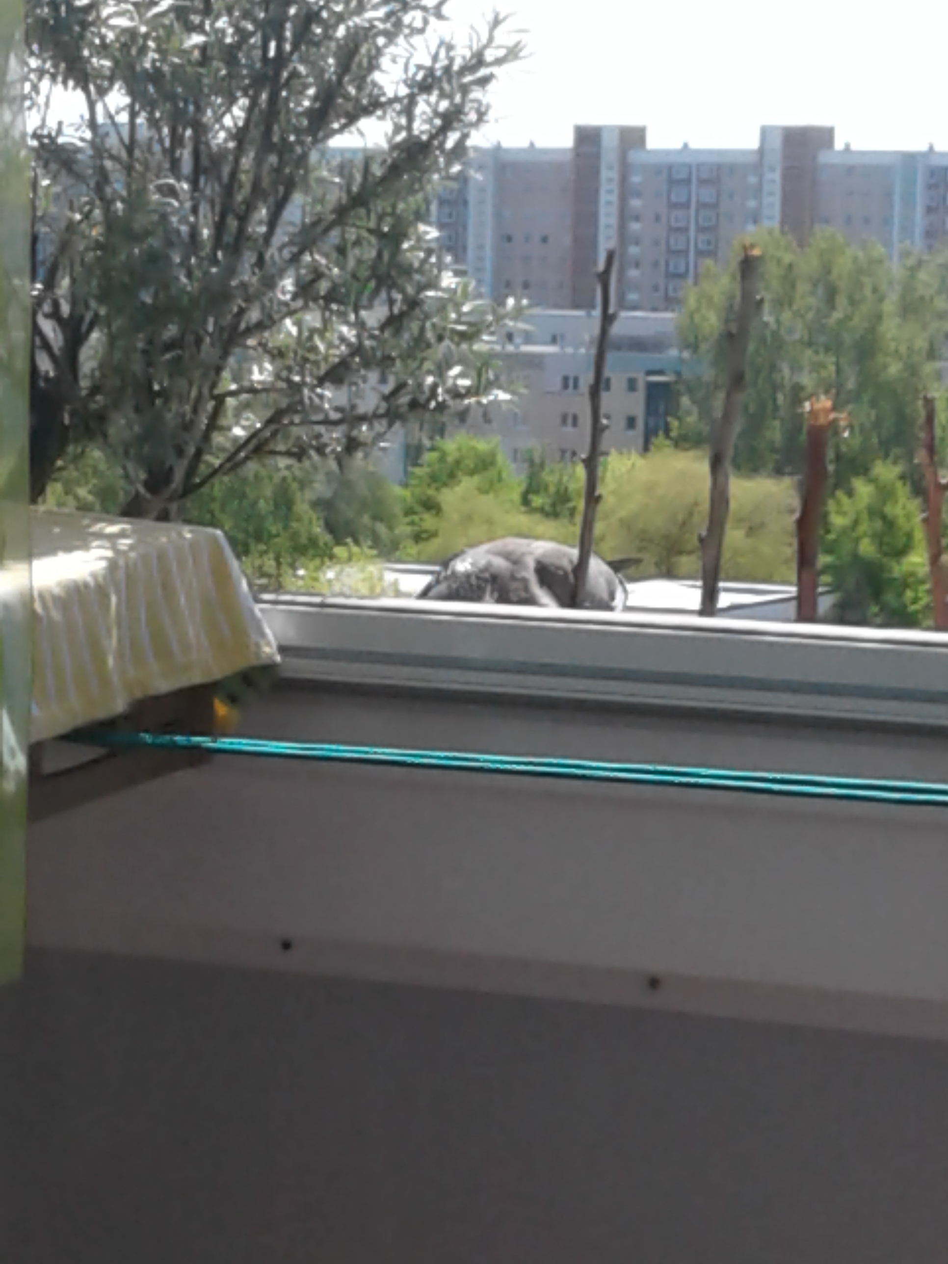 20190513_124935