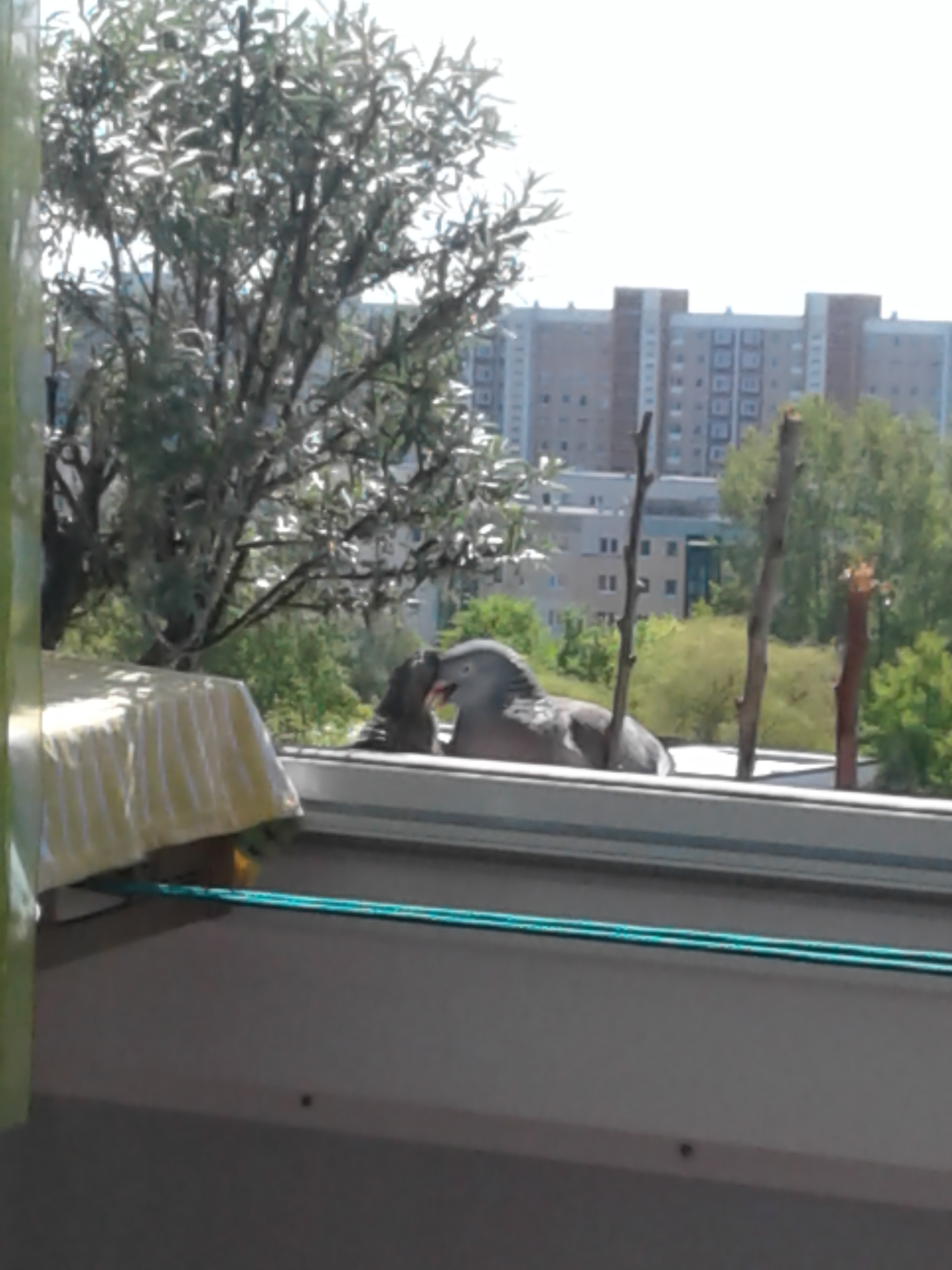 20190513_124939