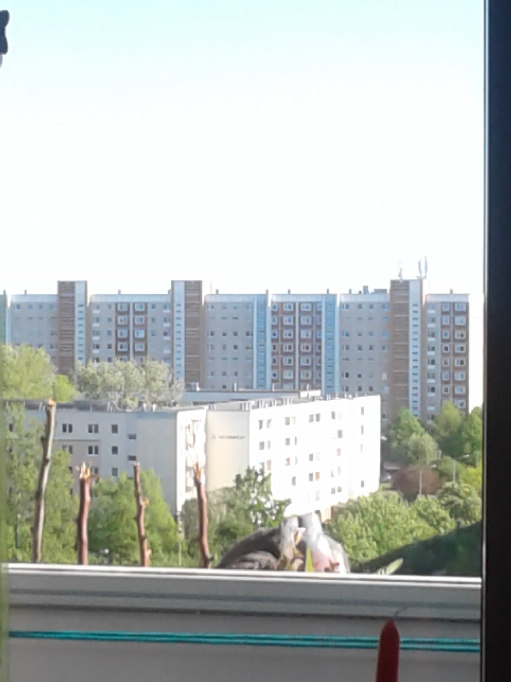 20190513_173429