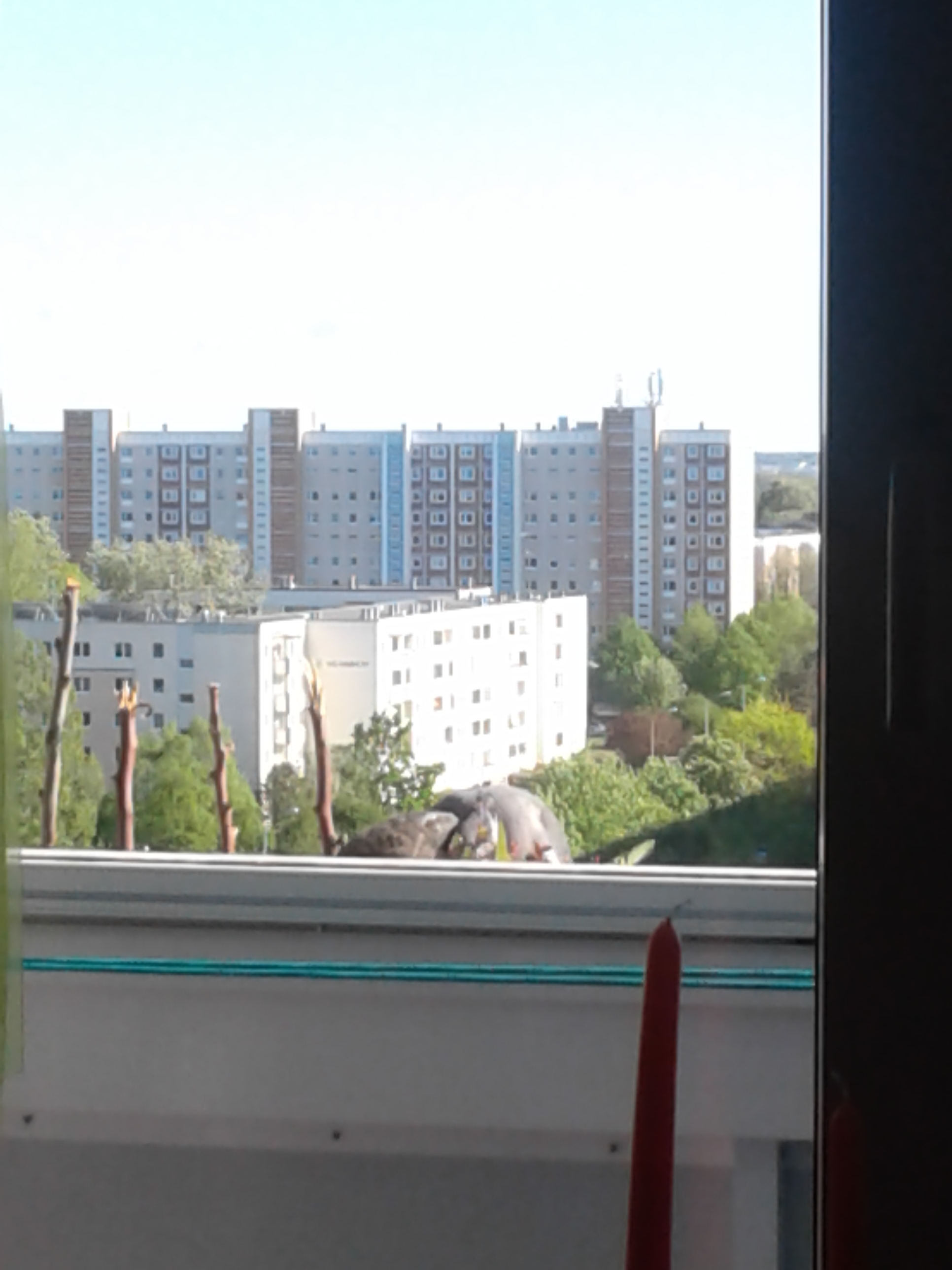 20190513_173602