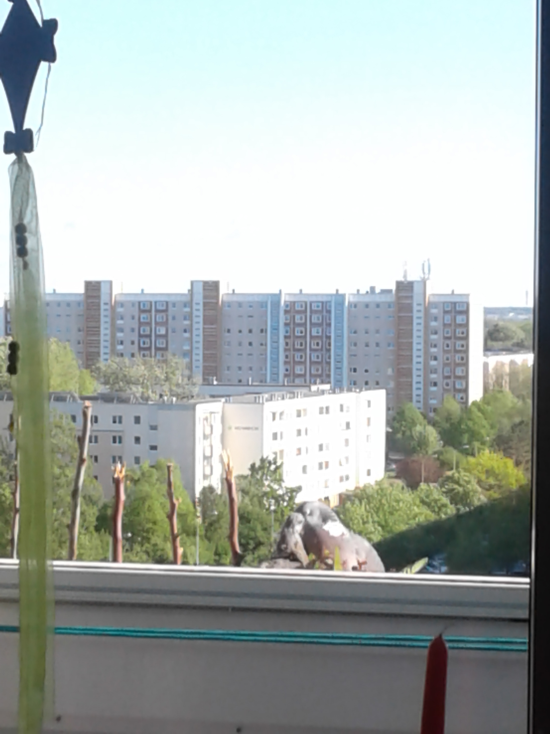 20190513_173634